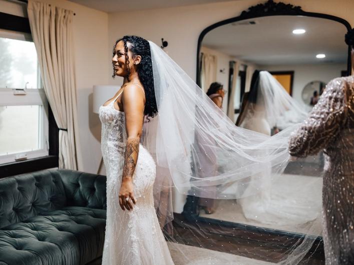 Bride-Wedding-Dress-Veil